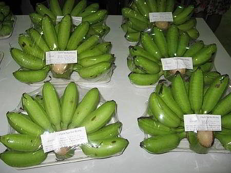 Royal Banana from Vietnam