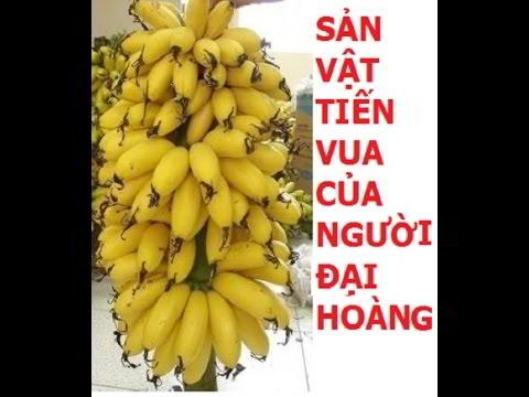 best delicious banana in vietnam