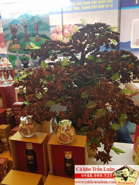 dac san vung mien dac san vung mien