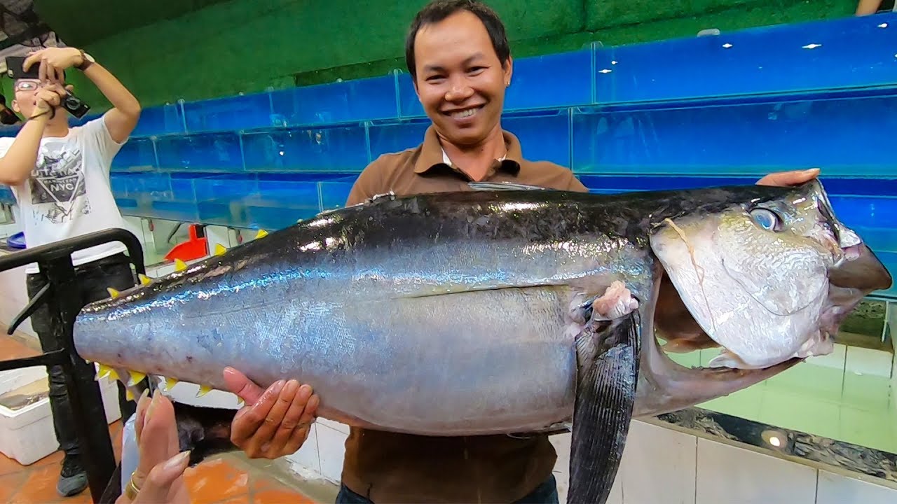 Vì sao cá ngừ được nhiều khách ưa chuộng?