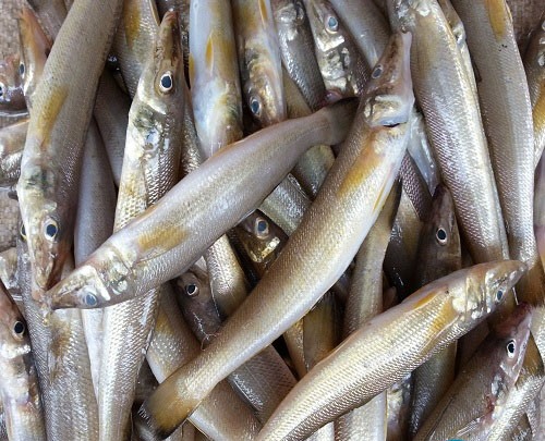 cách nấu canh cải cá bống 