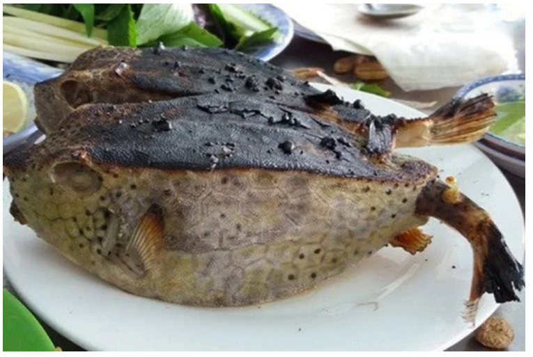 Cá Bò Hòm Nướng Muối Ớt