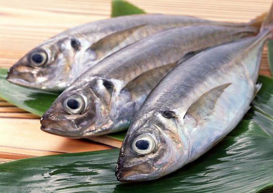 phân biệt cá biển tự nhiên