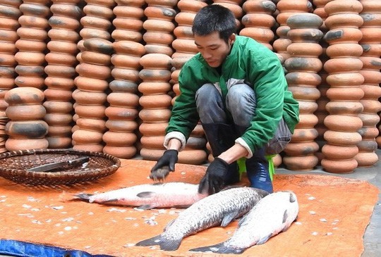 cá dùng để kho phải ít nhất từ 3kg trở lên và đươc nuôi dưỡng 2 năm