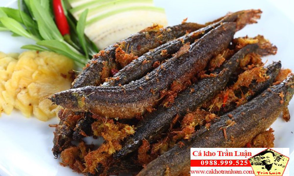 mua chạch sụn ninh bình