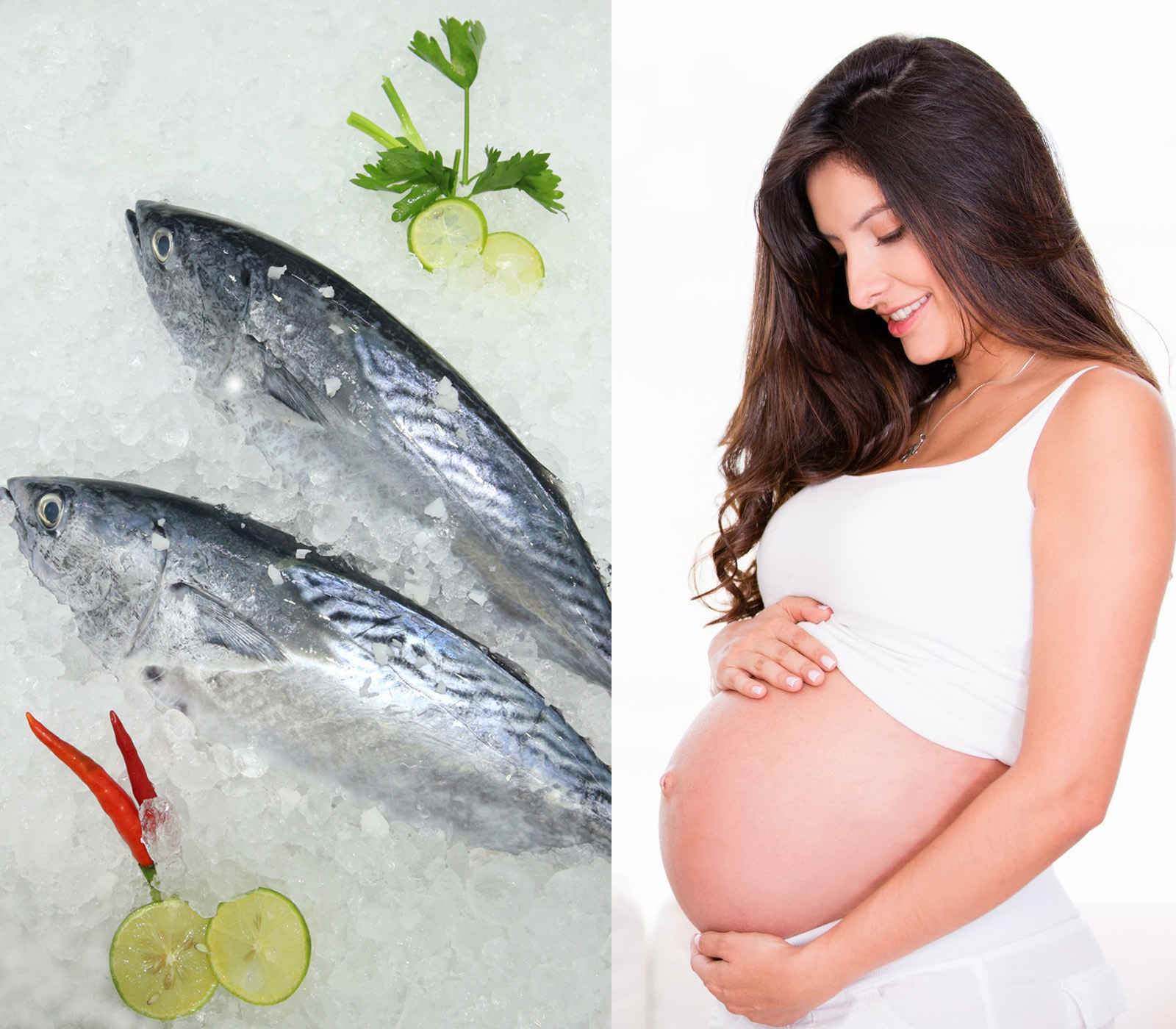 Bà bầu có nên ăn cá ngừ không?