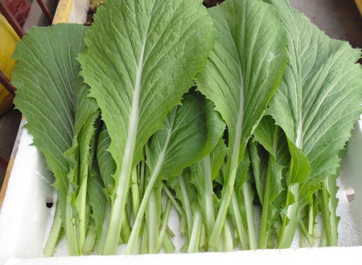 cách nấu canh cải cá bống 