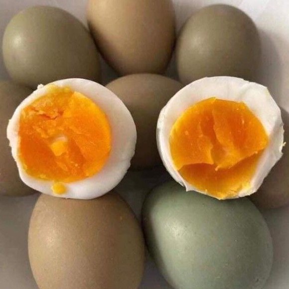 Trứng chim trĩ 