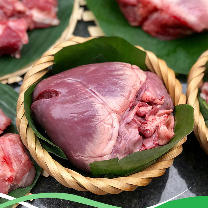 Tìm hiểu về tim bò