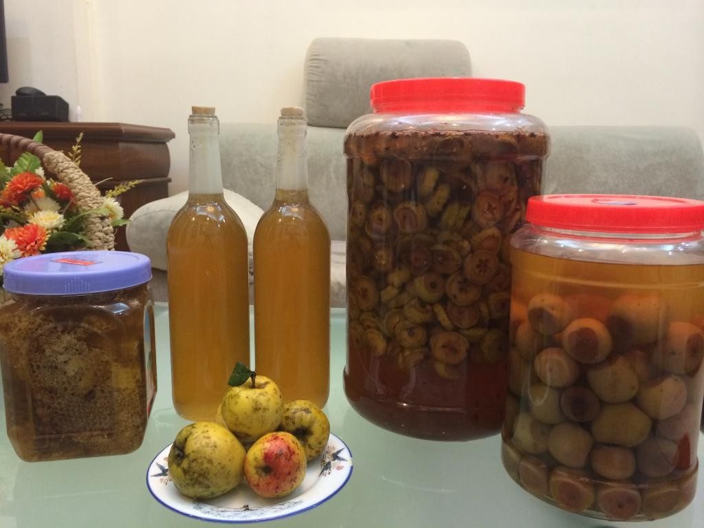 Một số lưu ý khi làm giấm táo mèo