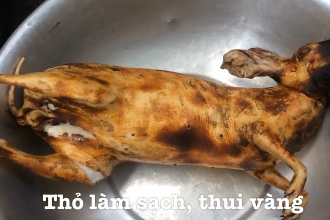 Lợi ích tuyệt vời khi sử dụng thịt thỏ