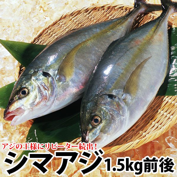 Cá Aji Nhật Bản - 255k/kg