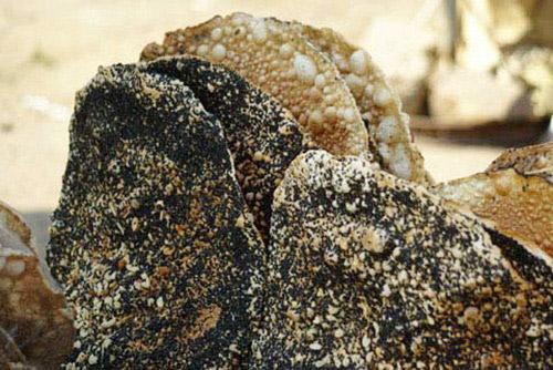 nguyên liệu mà người dân chọn đều là nông sản dễ kiếm nhưng sạch sẽ nguyên liệu mà người dân chọn đều là nông sản dễ kiếm nhưng sạch sẽ