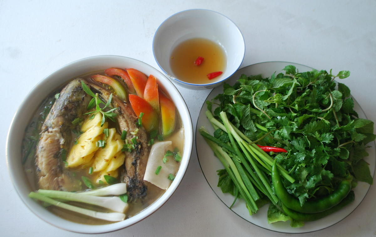 Một Số Bài Thuốc Từ Cá Trê