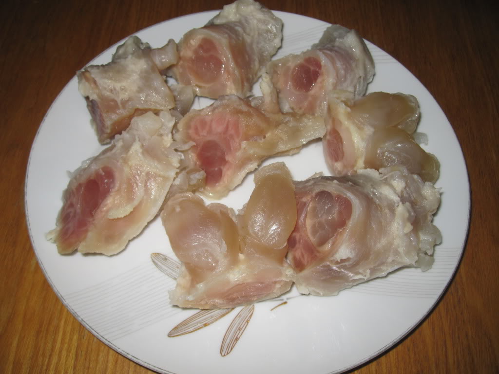 Gân Bò Gân Bò