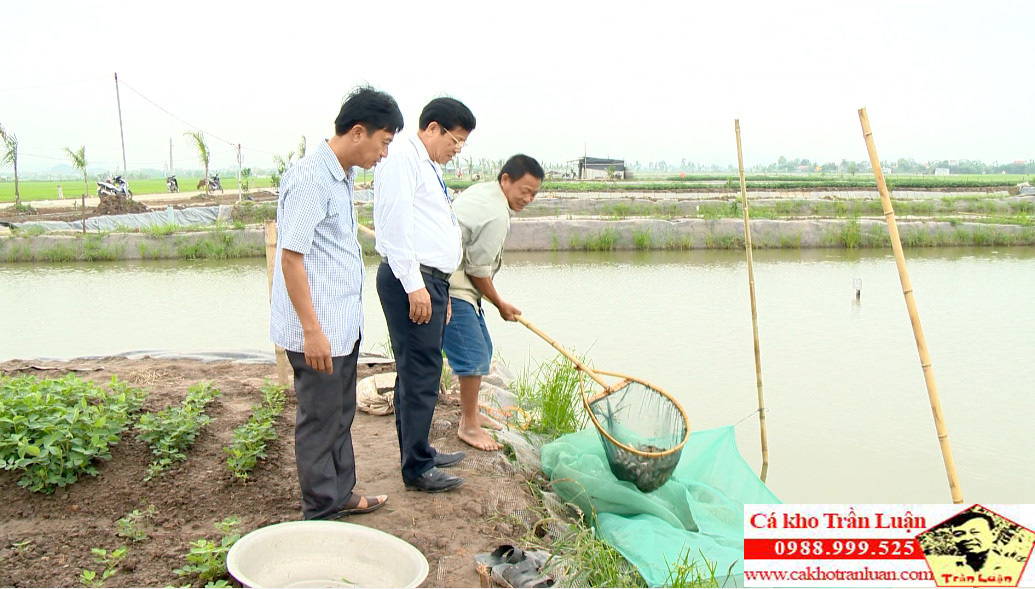 images1440881 2 1 