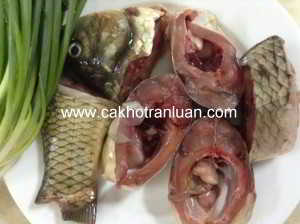 Cá chép kho gừng 1
