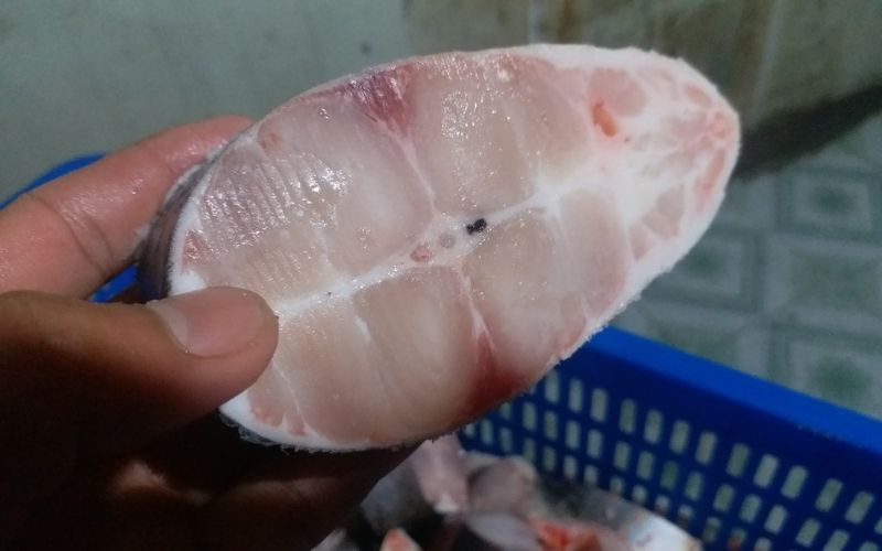 Quan sát phần thịt cá Quan sát phần thịt cá