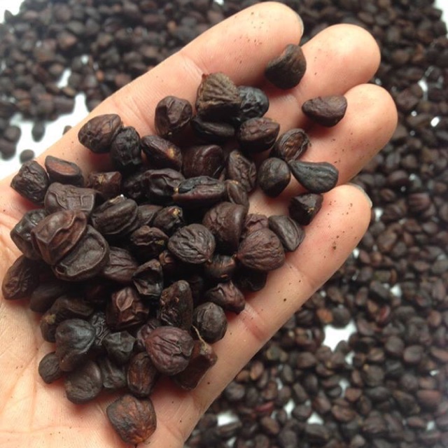 Chọn mua hạt dổi như thế nào?