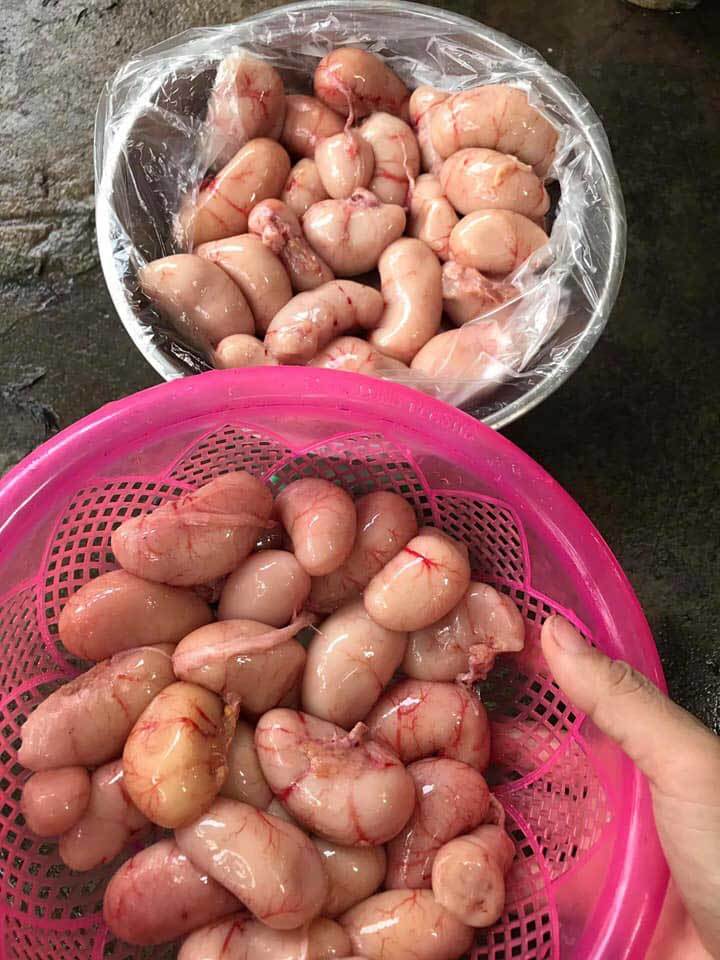 Tác dụng của ngọc kê gà Đông Tảo với sức khỏe Tác dụng của ngọc kê gà Đông Tảo với sức khỏe