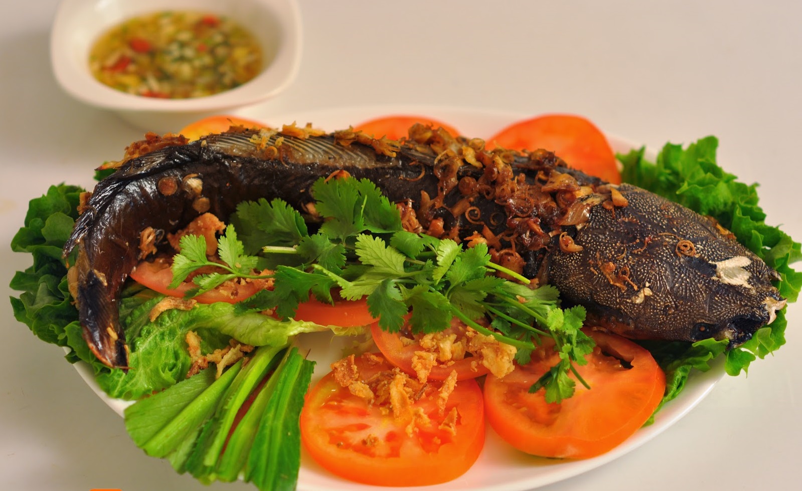 bài thuốc chữa bệnh từ cá trê
